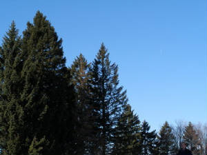p1150074_resize_resize.jpg